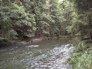 2001.08.08 09.38.37.jpg